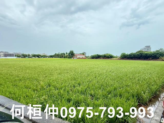 苗栗農地-2