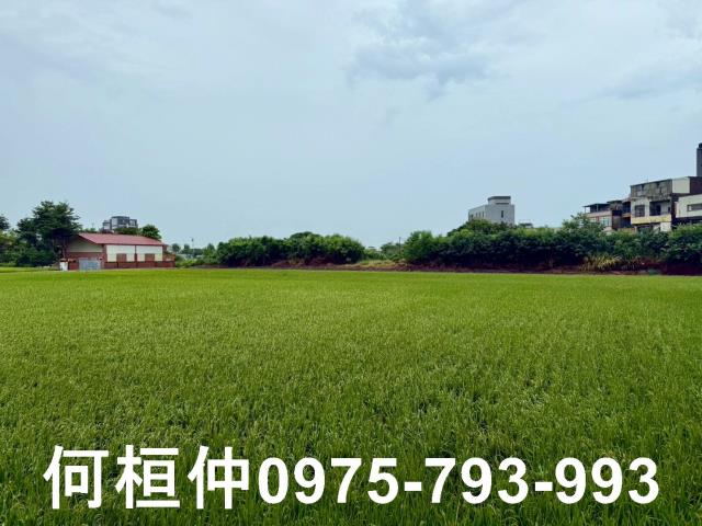 苗栗農地-3
