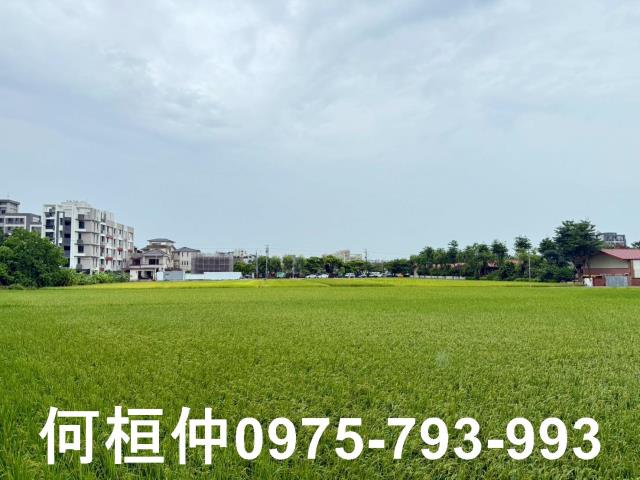 苗栗農地-7