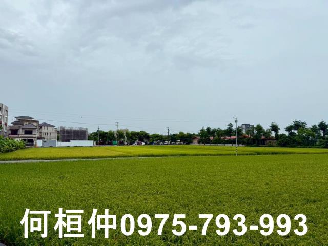 苗栗農地-8