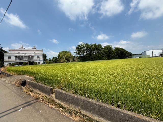 桃園農地-3