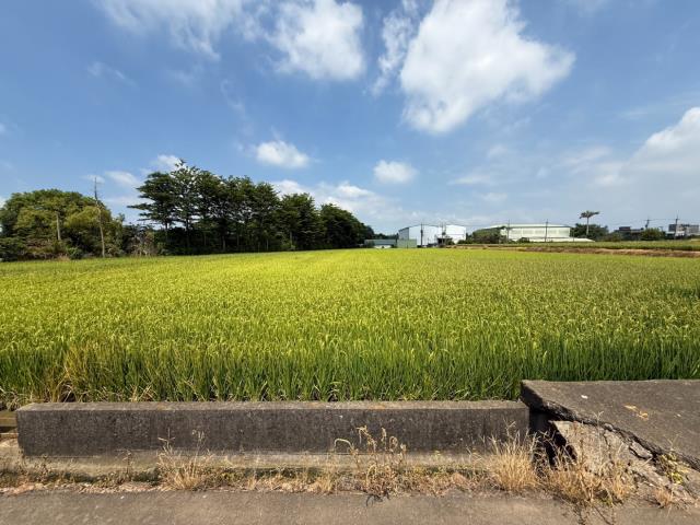 桃園農地-5