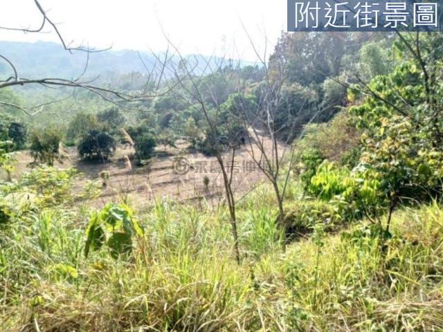 台南左鎮農地-12