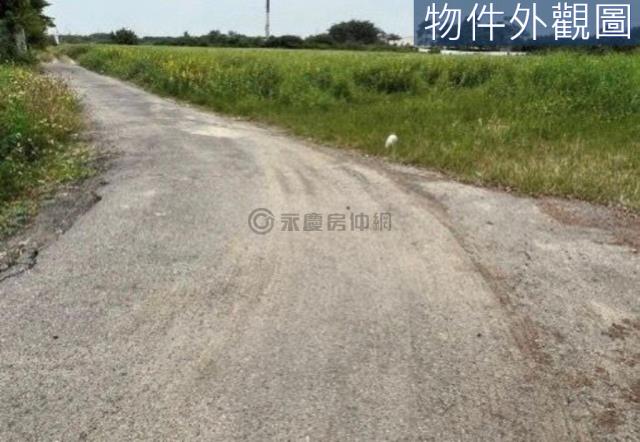 台南新市農地-1
