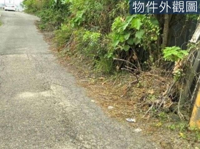 台南新市農地-3