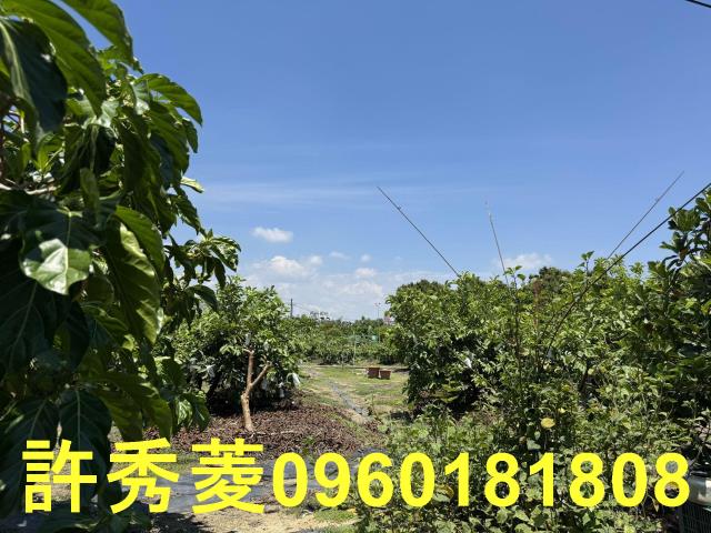 高雄燕巢農地-6