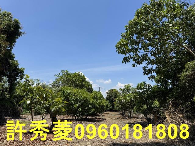 高雄燕巢農地-8