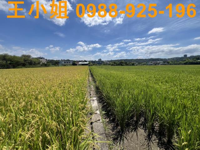 大溪農地-5