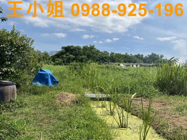 蘆竹農地-2