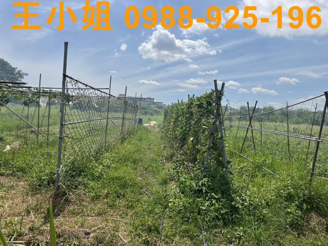 蘆竹農地-3