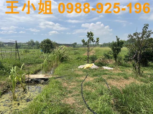 蘆竹農地-4