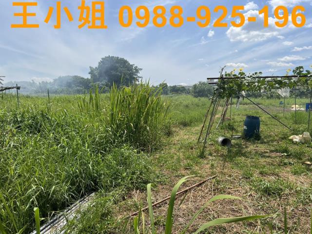蘆竹農地-5