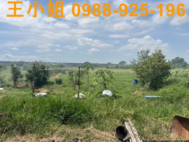 蘆竹農地-6