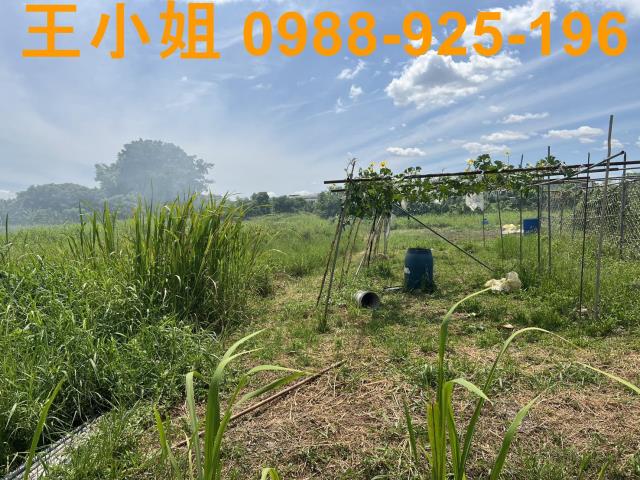 蘆竹農地-7