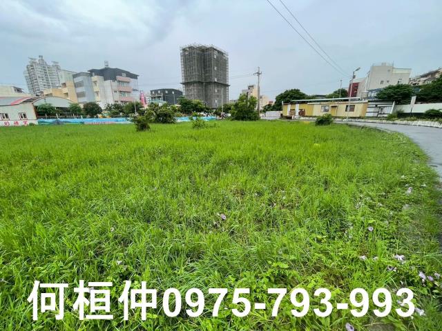 竹南農地-1