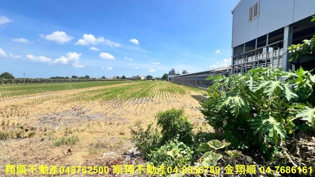 彰化農地-5
