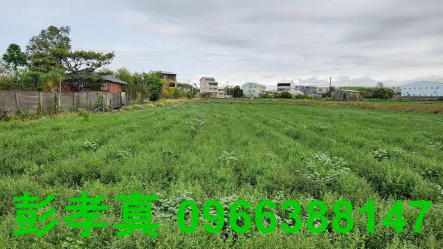 台中潭子農地-2