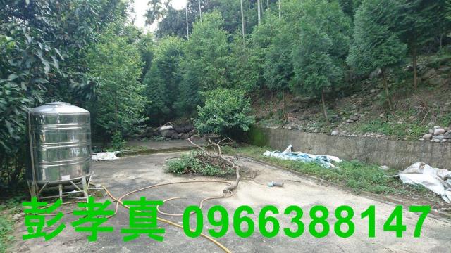 台中新社建地-6