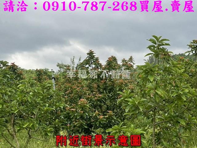 台南大內農地-8