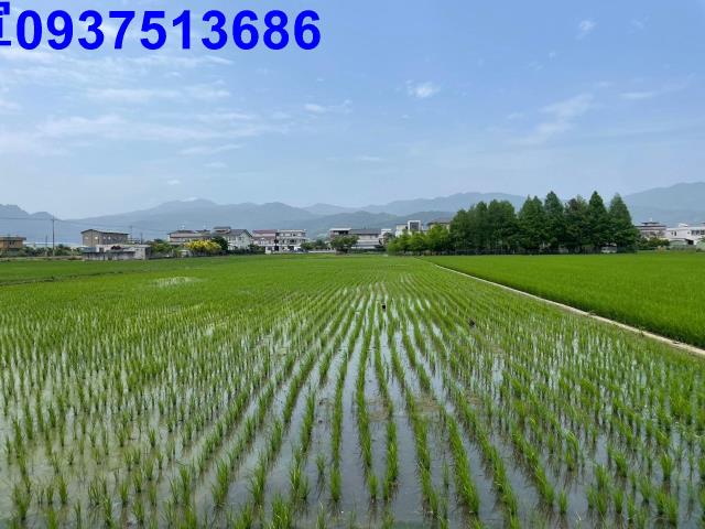 宜蘭員山農地-4