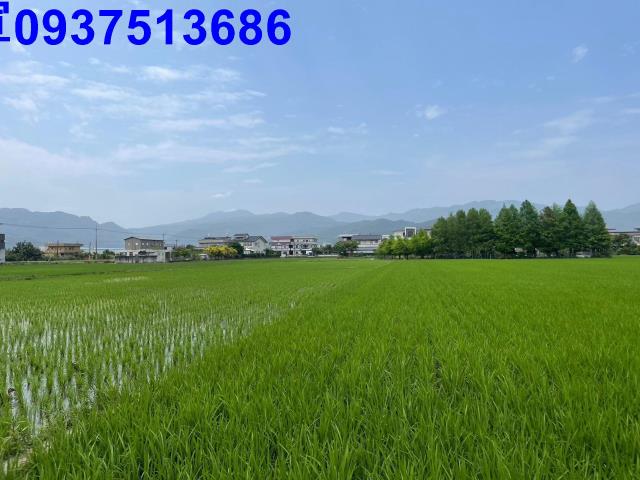 宜蘭員山農地-7