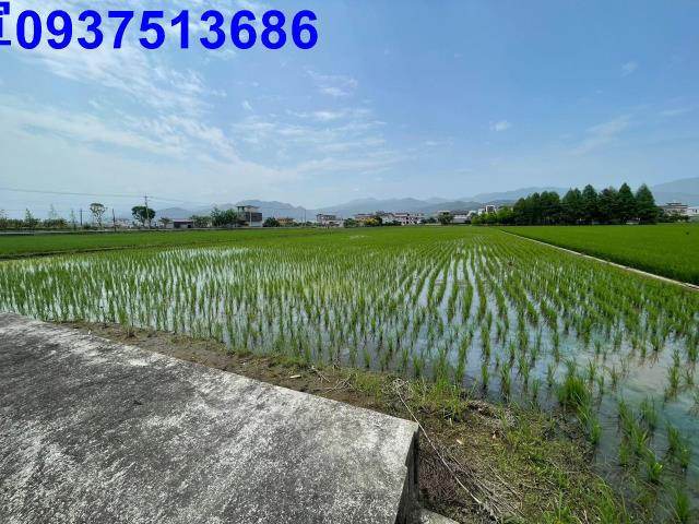宜蘭員山農地-9