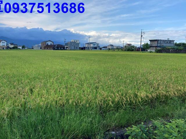 宜蘭壯圍農地-12