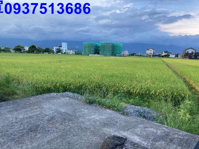 宜蘭壯圍農地-9