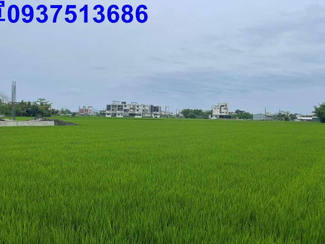 宜蘭礁溪農地-1
