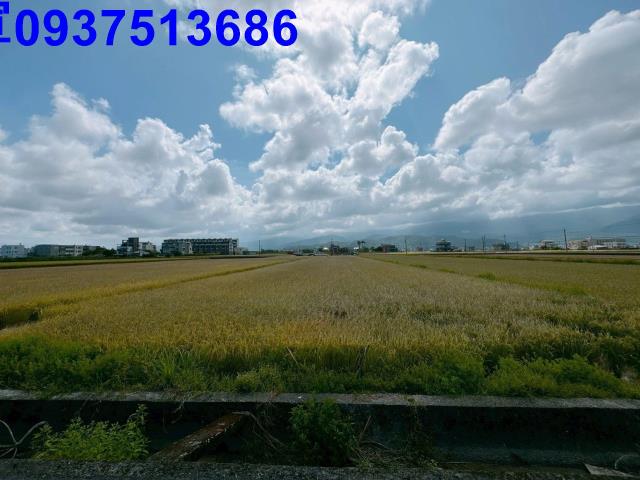 礁溪農地-9
