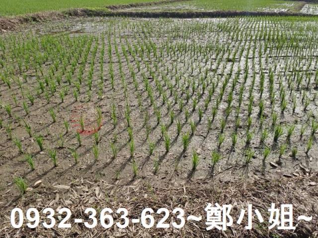 桃園區農地-3