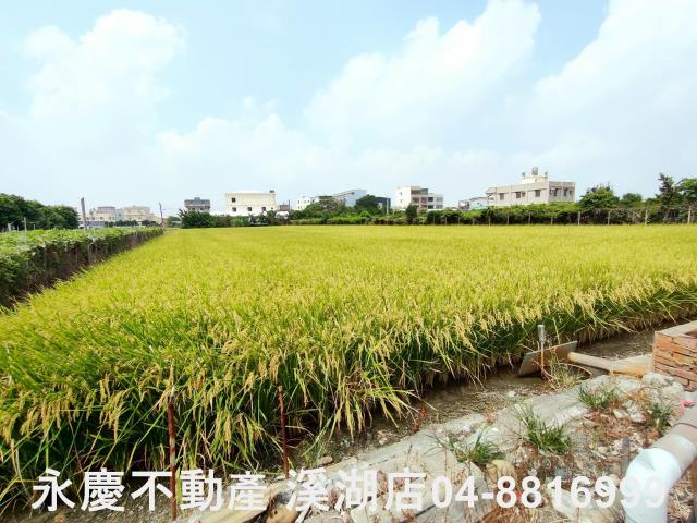 溪湖農地-5