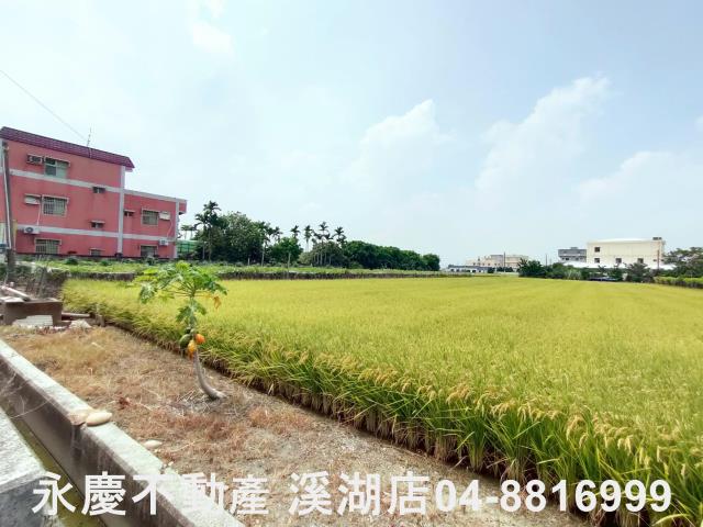 溪湖農地-6
