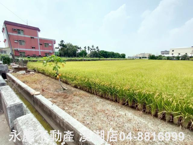 溪湖農地-7