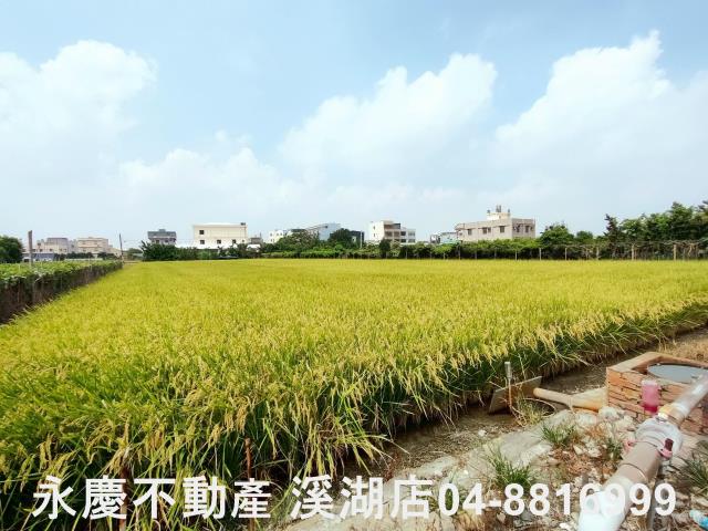 溪湖農地-3