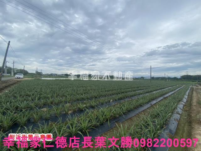 台南農地-1