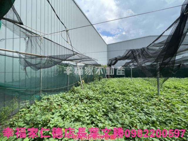 台南保護區-14