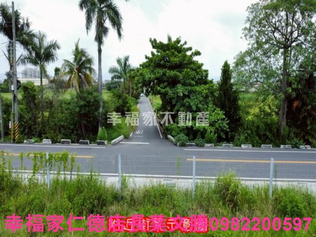 台南善化農地-8