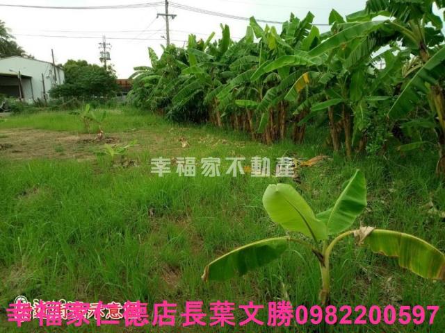 台南安南農地-1