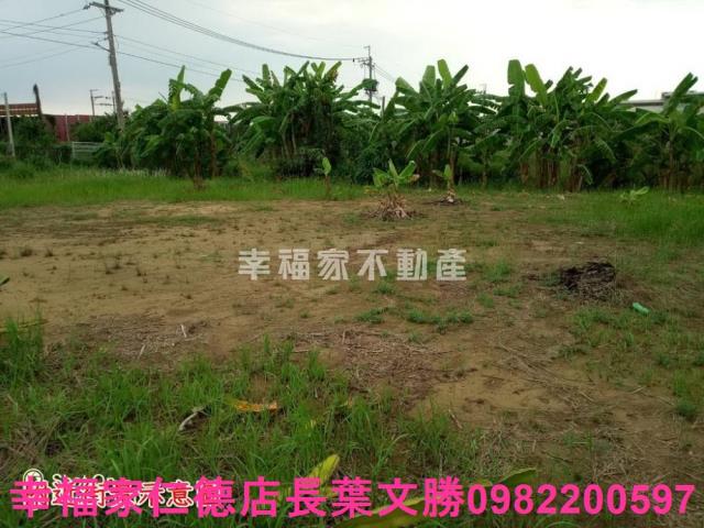 台南安南農地-8