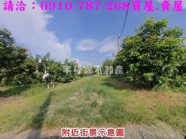 台南官田農地-10