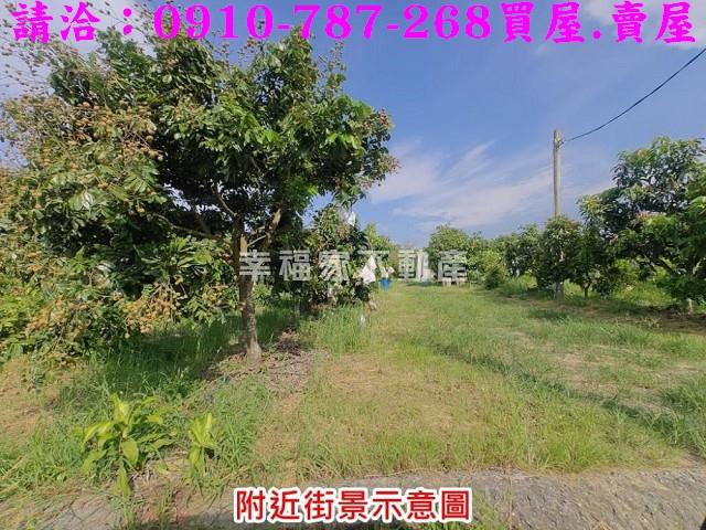 台南官田農地-2