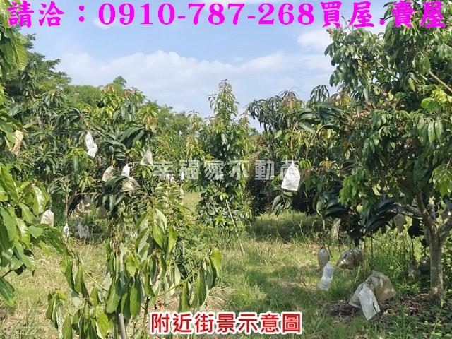 台南官田農地-3