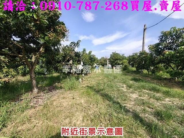 台南官田農地-4