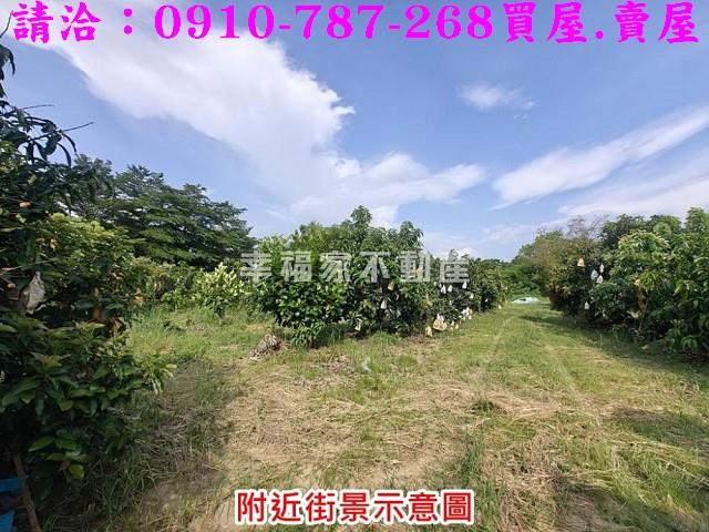 台南官田農地-6