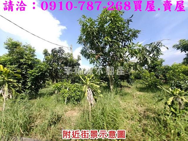 台南官田農地-7