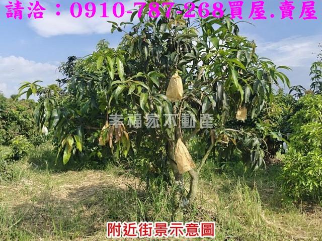 台南官田農地-8