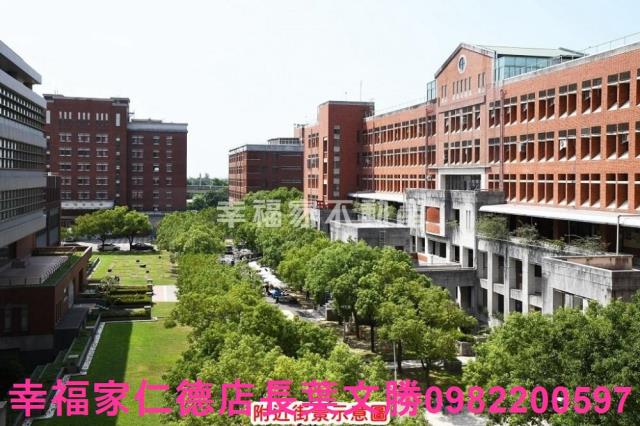 龍崎農地-12