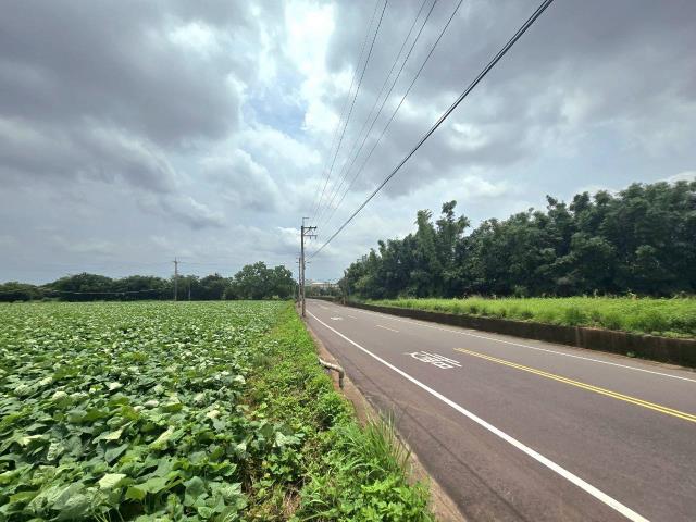 清水農地-2