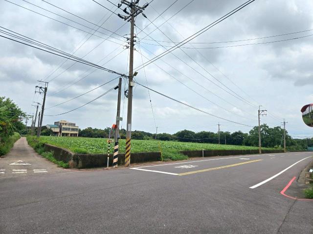 清水農地-5